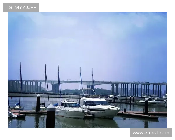 加入206游艇会享受私人定制的海上旅游路线,体验奢华游艇带来的极致舒适感