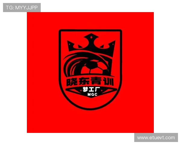 多米体育足球官网提供足球培训课程和赛事组织信息助力青少年足球发展